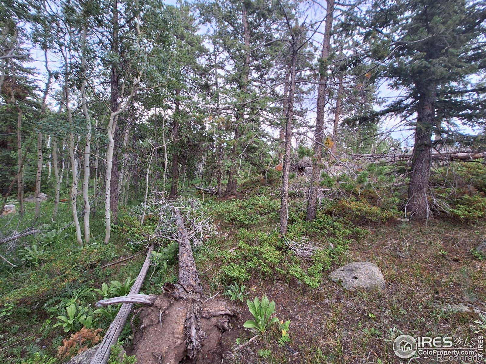 Red Feather Lakes, CO 80545,204 Sutiki DR