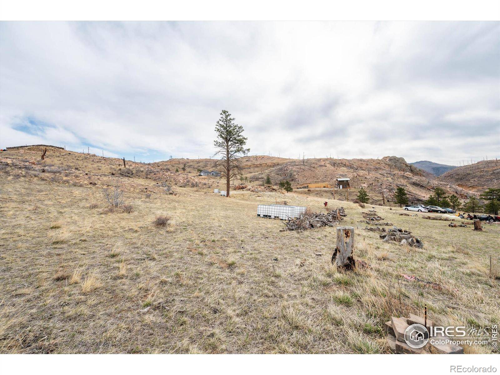 Livermore, CO 80536,107 Mount Audubon WAY