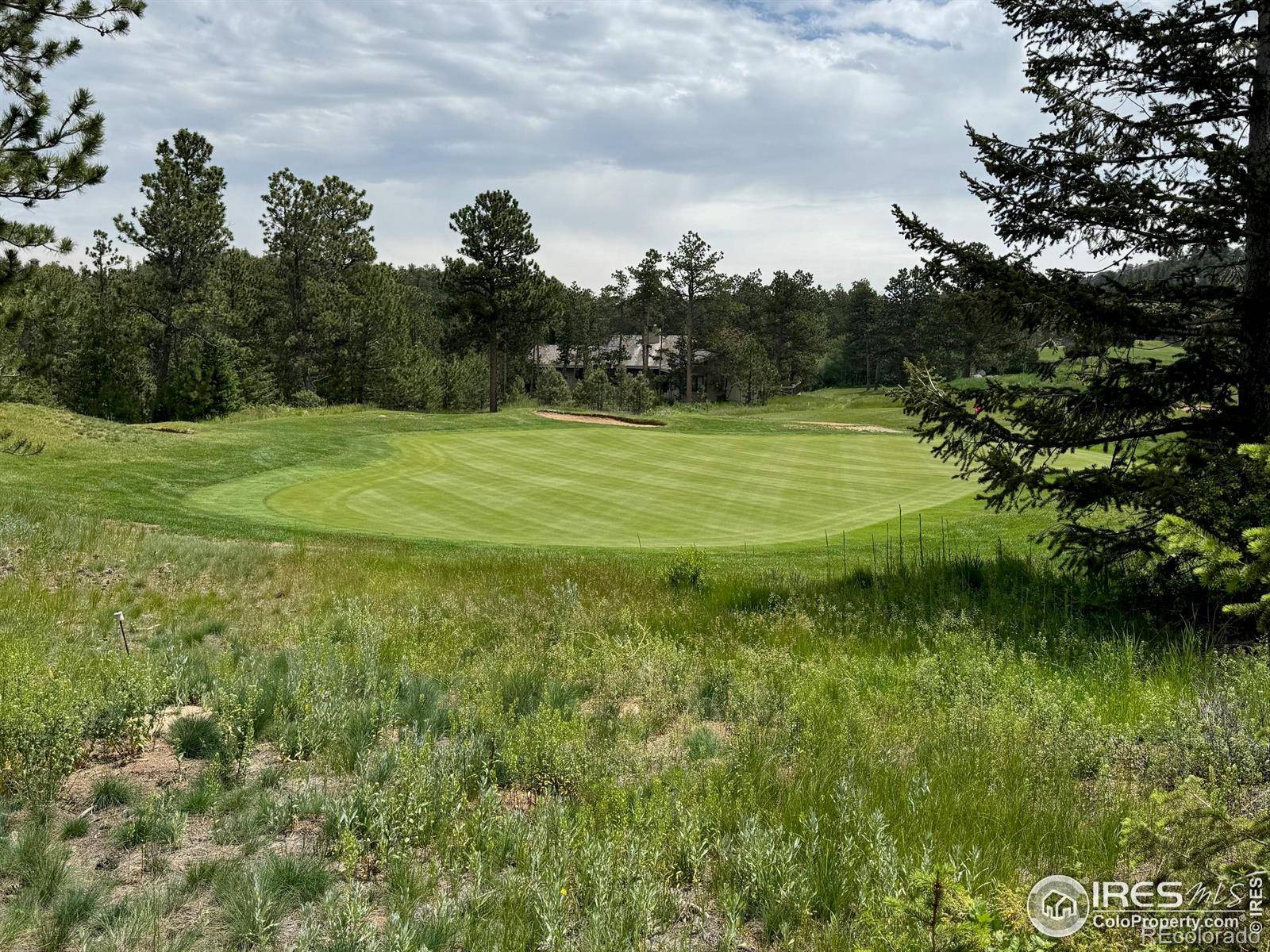 Red Feather Lakes, CO 80545,2835 Fox Acres DR
