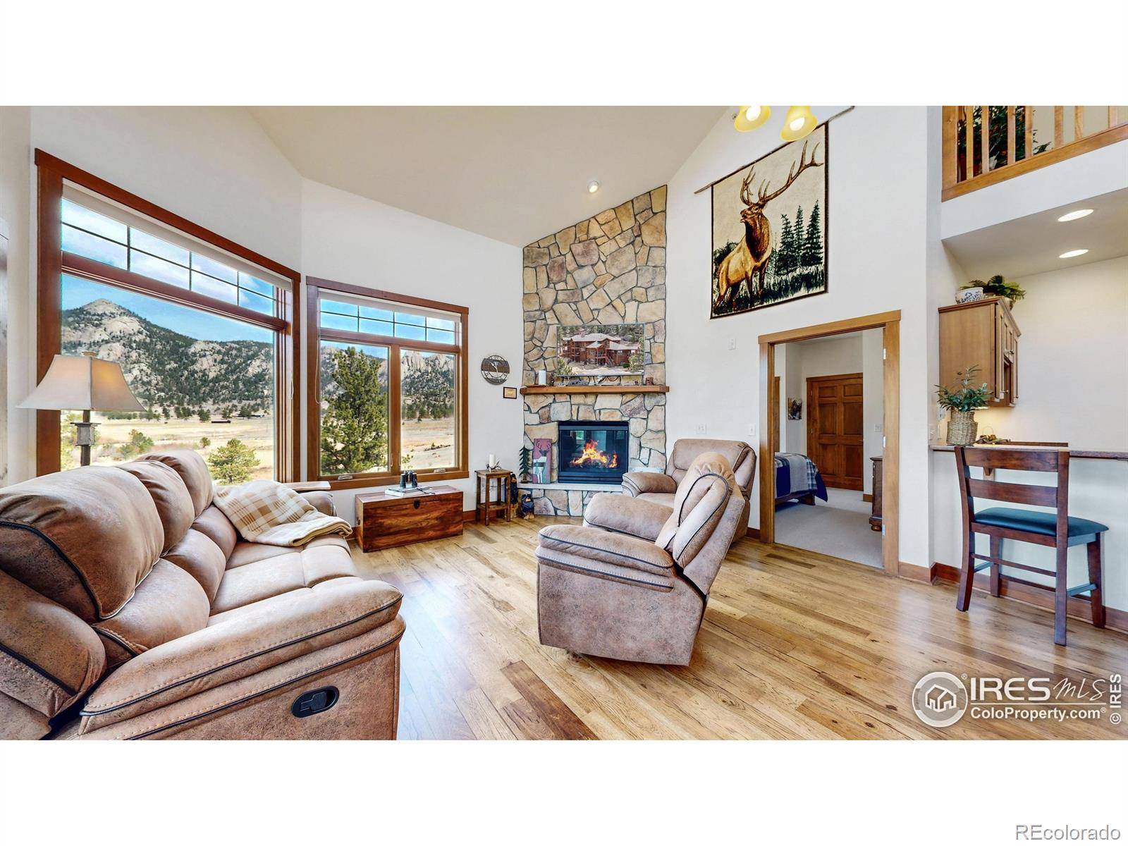 Estes Park, CO 80517,221 Twin Owls LN #F-6