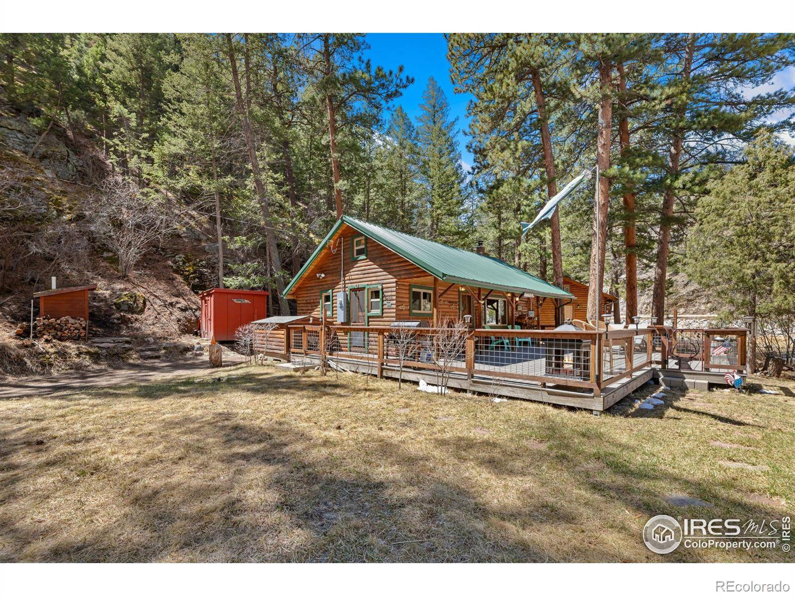 Drake, CO 80515,11 Rainbow Trout LN