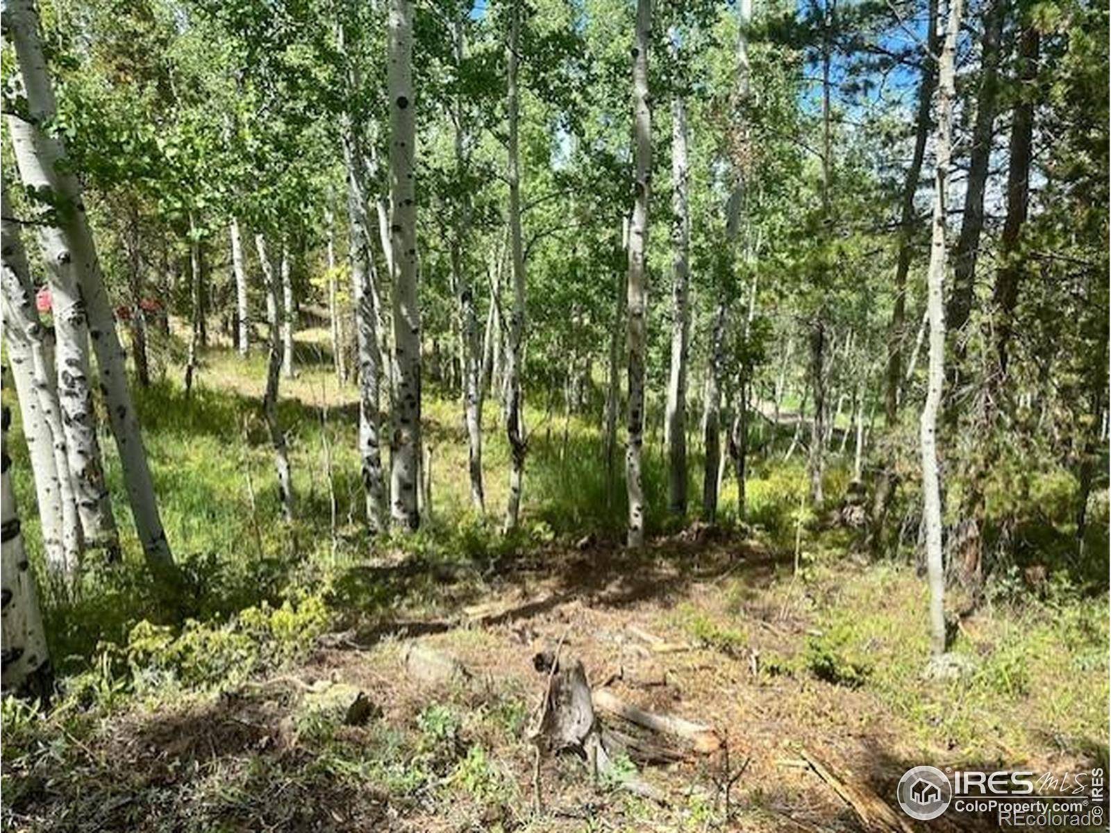 Black Hawk, CO 80422,0 Aspen CIR
