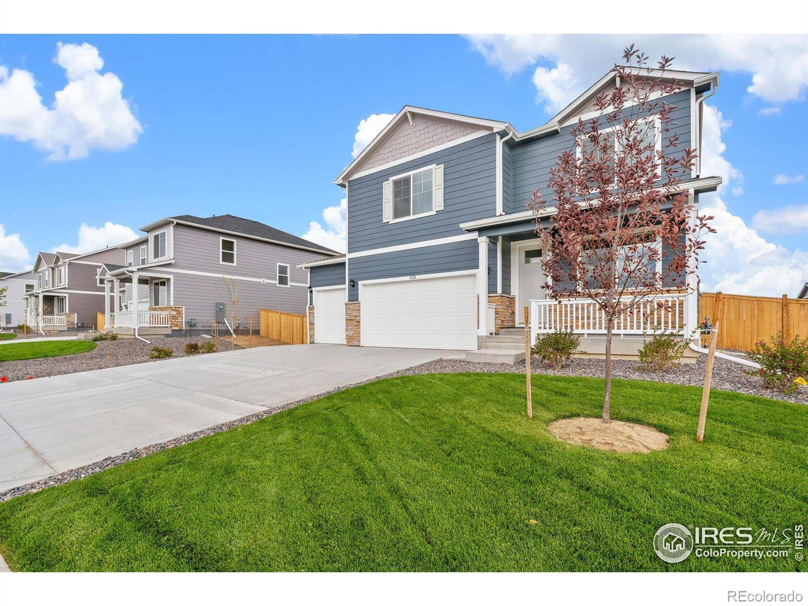 Brighton, CO 80601,262 Chardon AVE