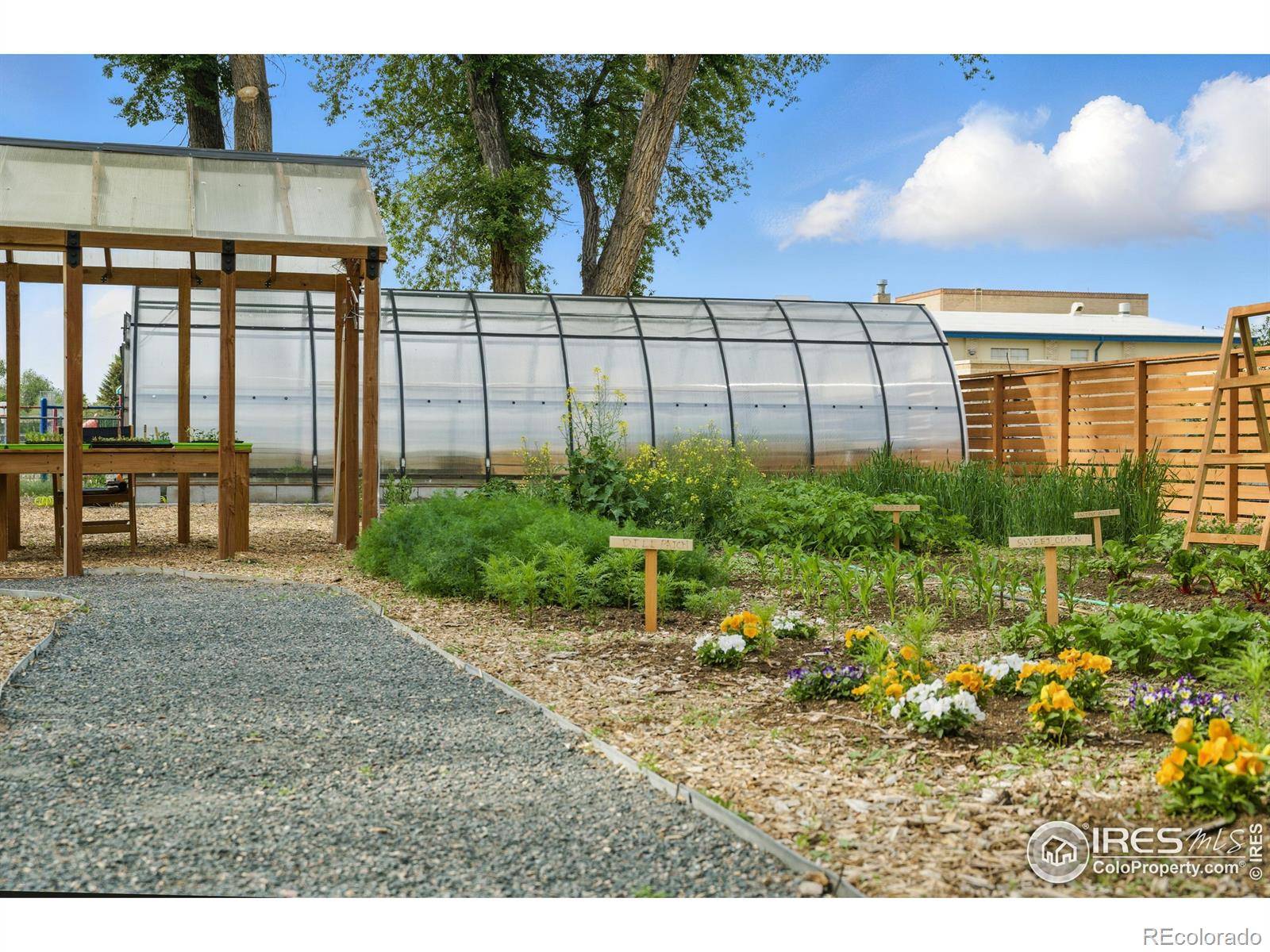 Timnath, CO 80547,5008 5th AVE