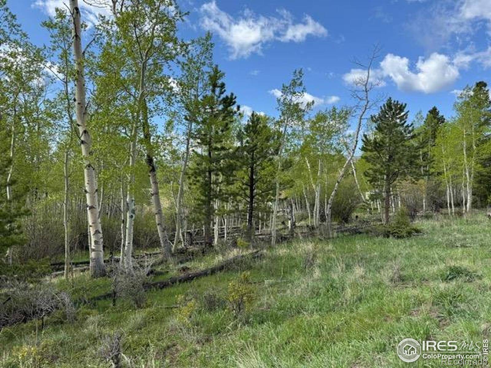 Red Feather Lakes, CO 80545,137 Cimarron RD
