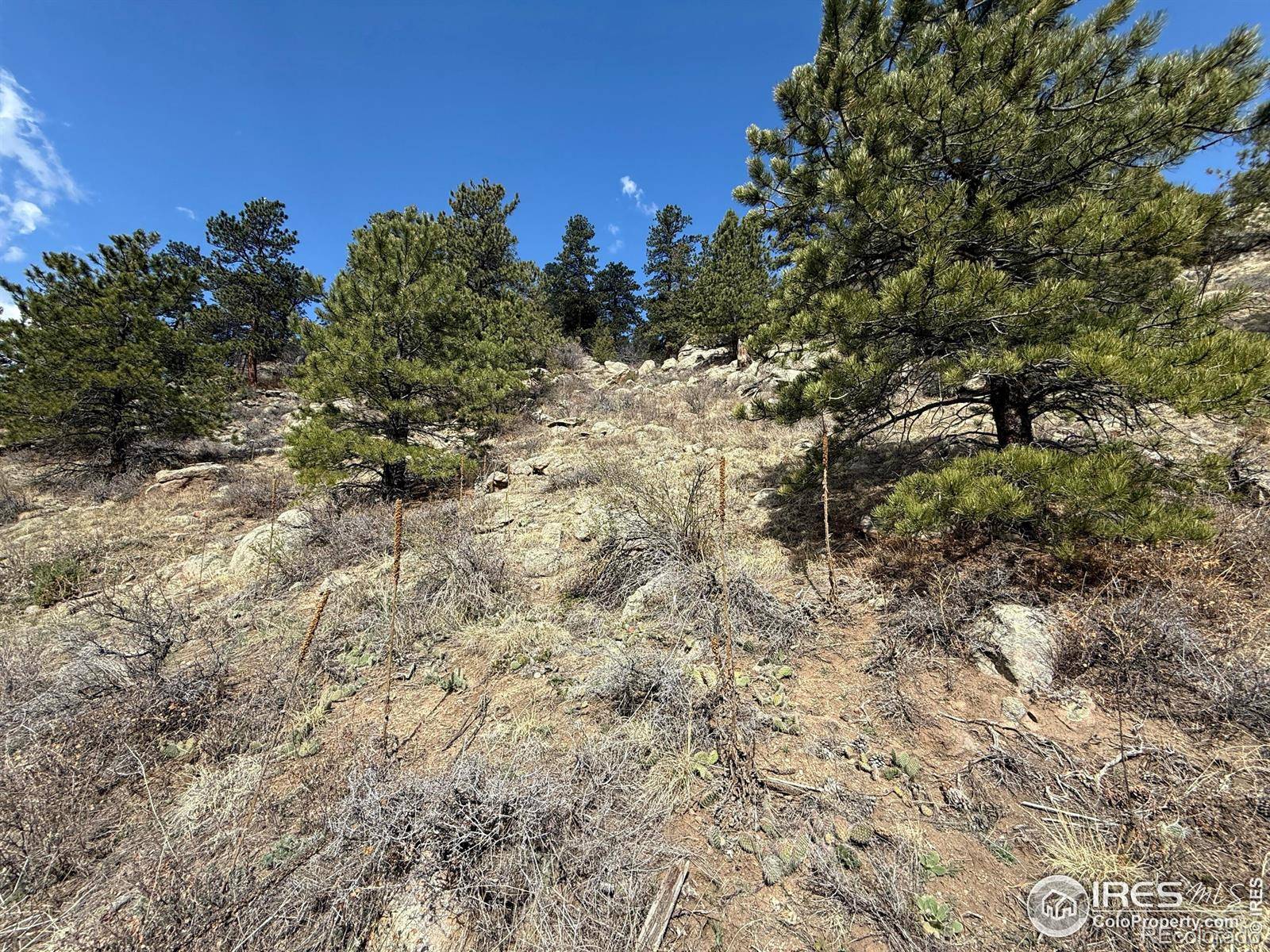 Estes Park, CO 80517,1050 Pine Tree DR