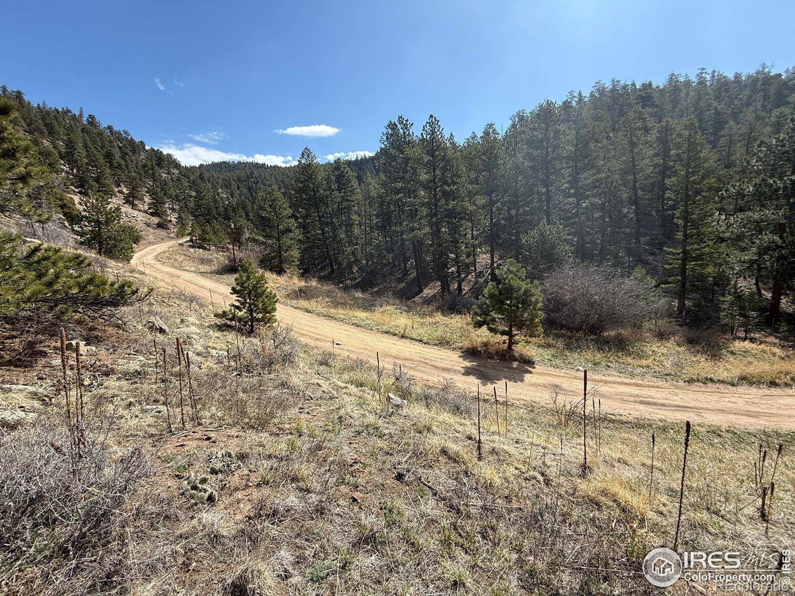 Estes Park, CO 80517,1050 Pine Tree DR
