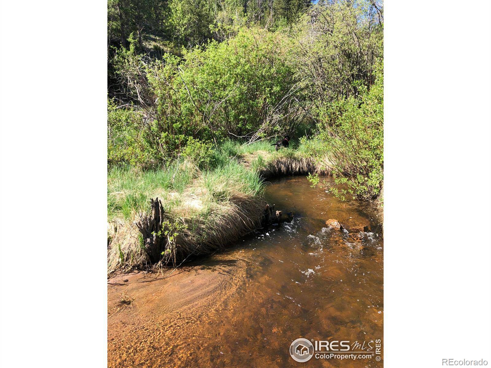 Red Feather Lakes, CO 80545,151 Ada CT
