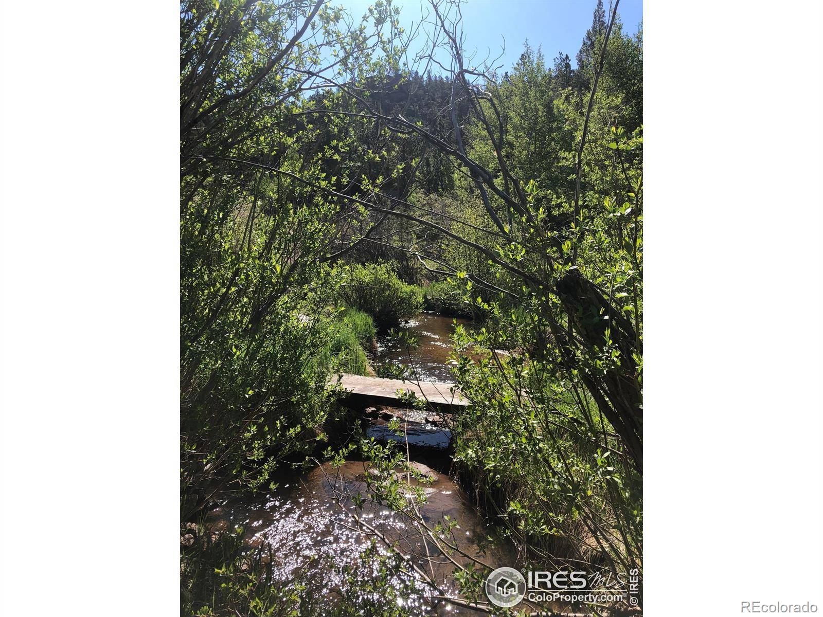 Red Feather Lakes, CO 80545,151 Ada CT