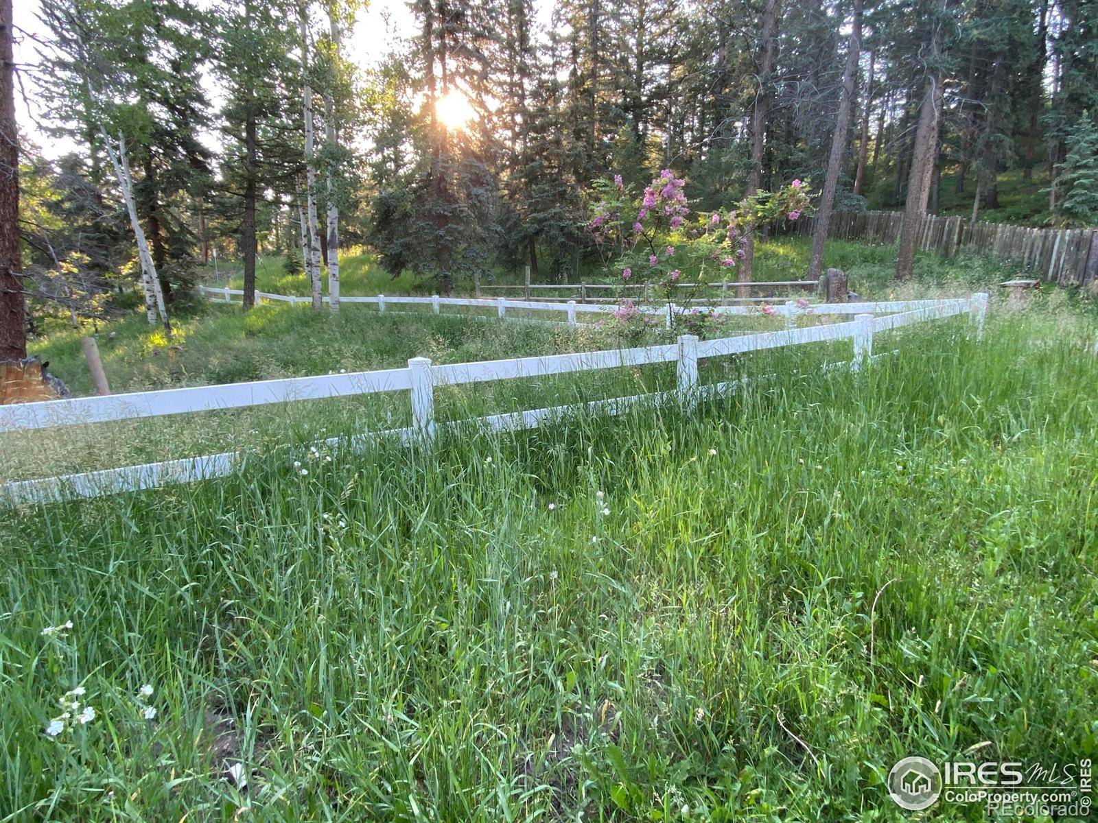 Evergreen, CO 80439,27921 Alabraska LN