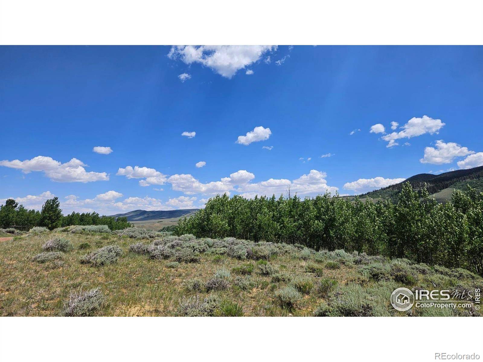 Jelm, CO 80545,80 Trapper CT