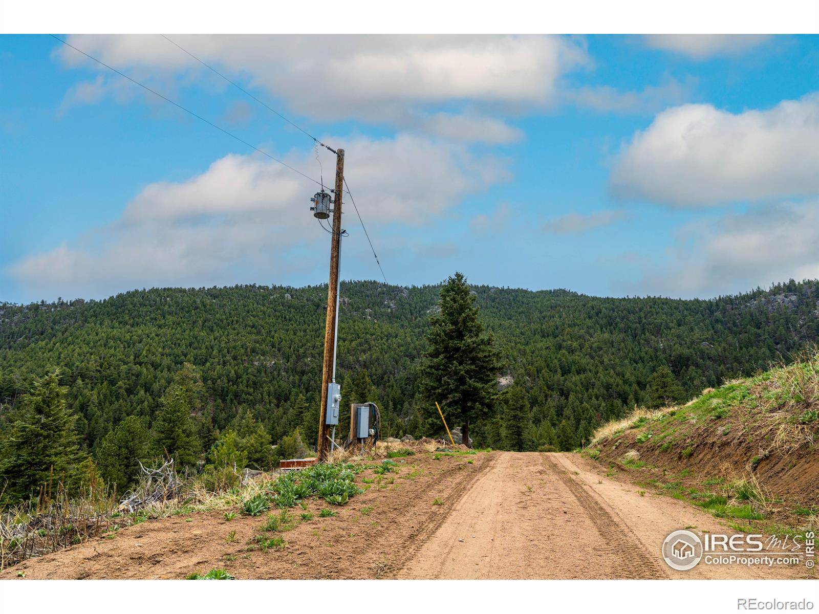 Lyons, CO 80540,12724 N Saint Vrain DR