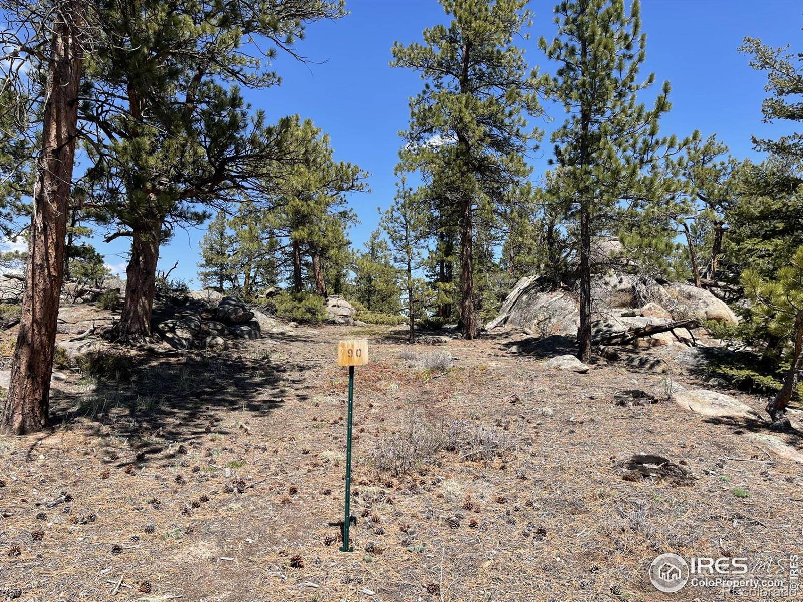 Red Feather Lakes, CO 80545,3020 Lake Arapahoe CT