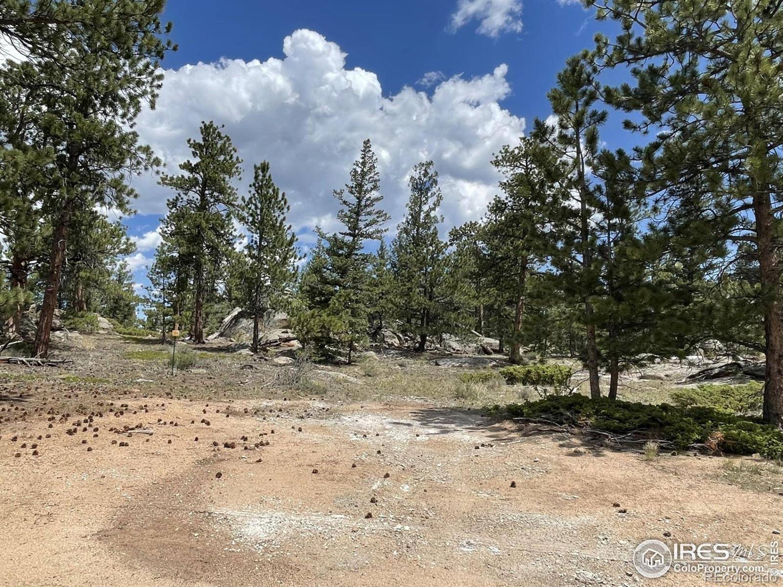 Red Feather Lakes, CO 80545,3020 Lake Arapahoe CT