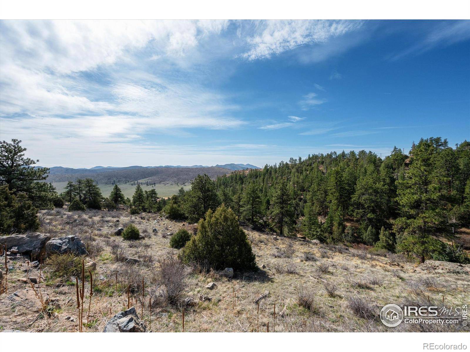 Livermore, CO 80536,1097 Montcalm DR