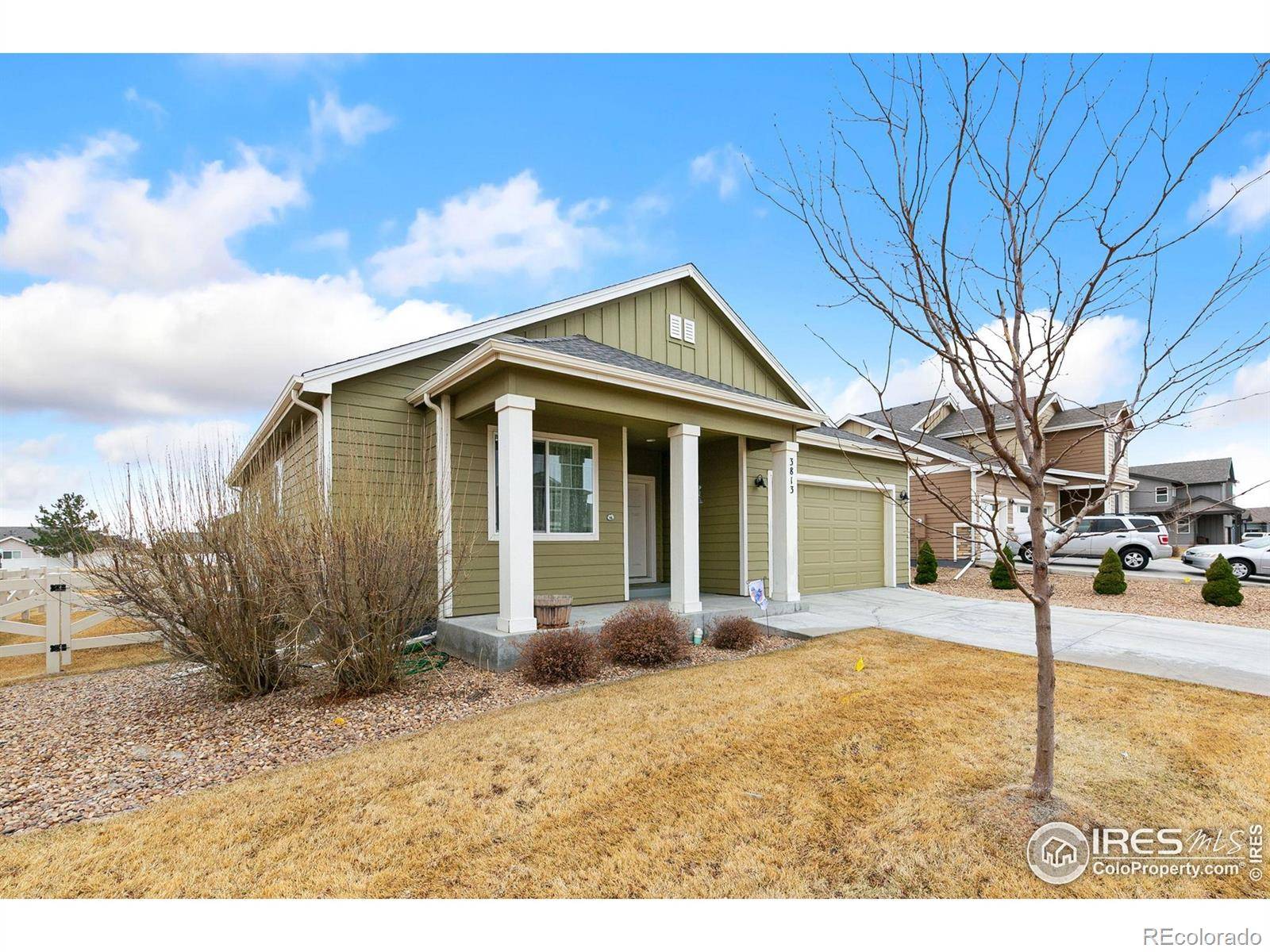 Wellington, CO 80549,3813 Ginkgo ST