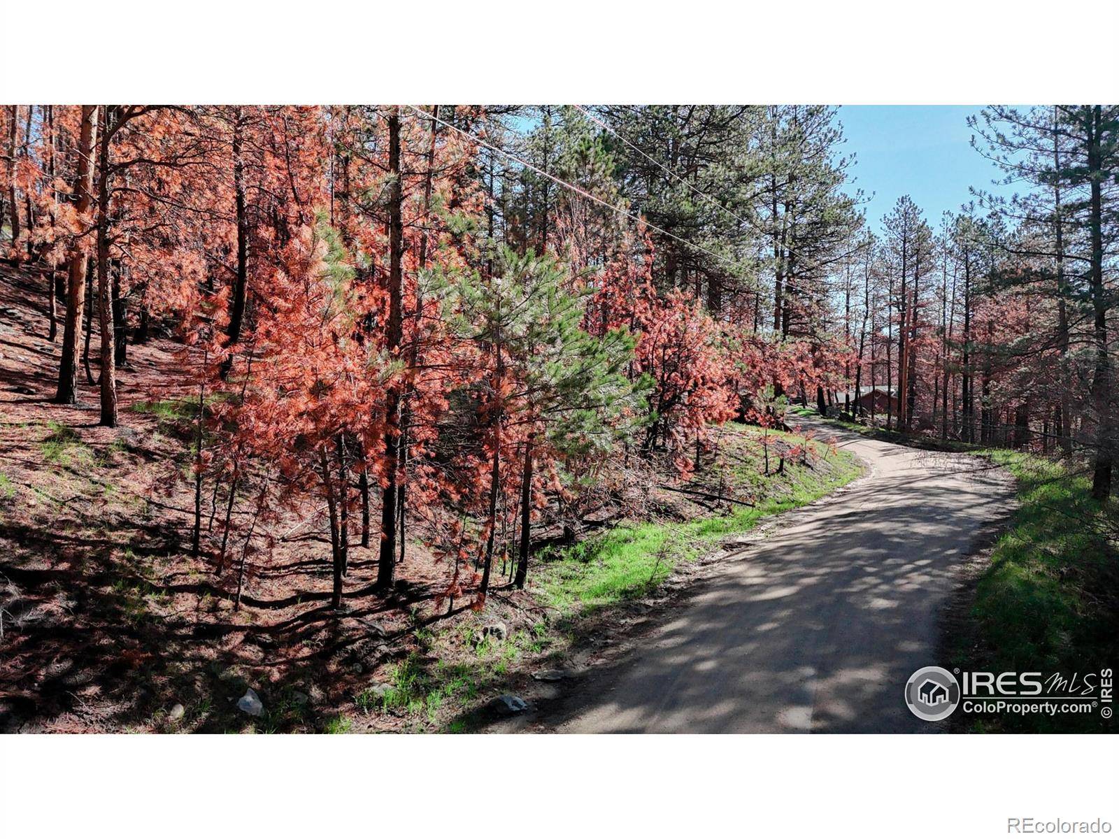 Drake, CO 80515,1841 Spruce Mountain DR