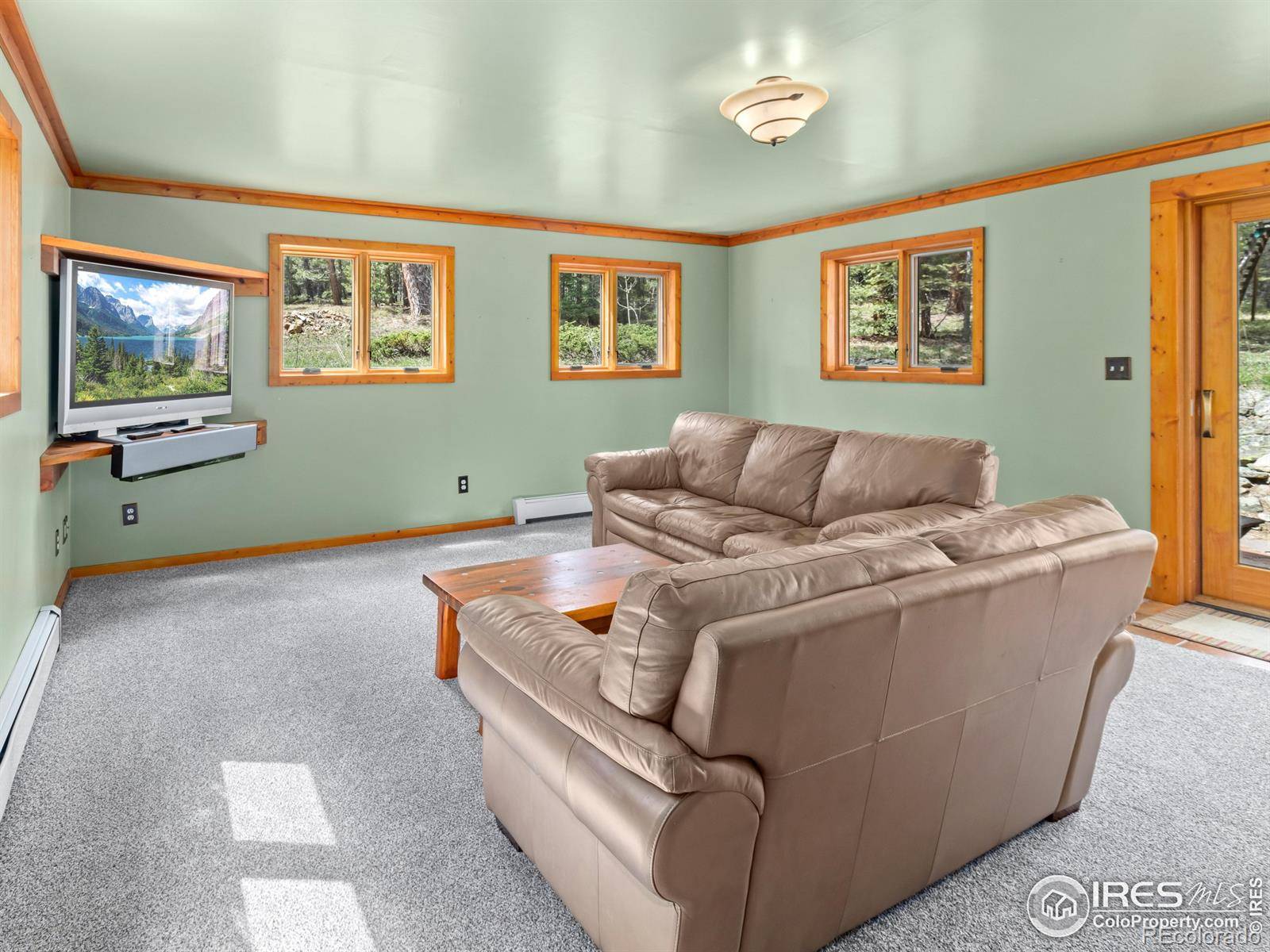 Allenspark, CO 80510,251 Haugen Slide RD