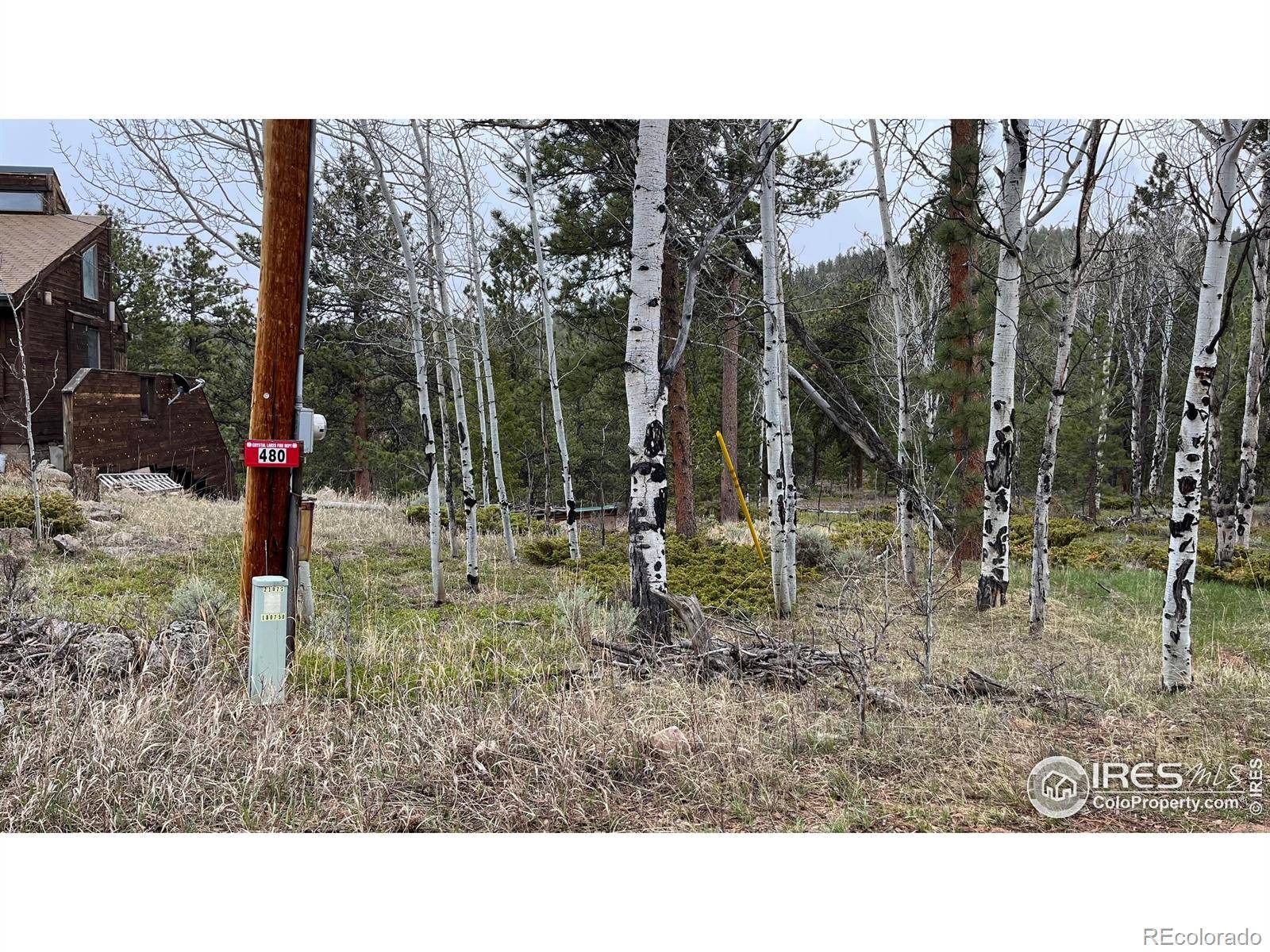 Red Feather Lakes, CO 80545,480 Comanche CIR