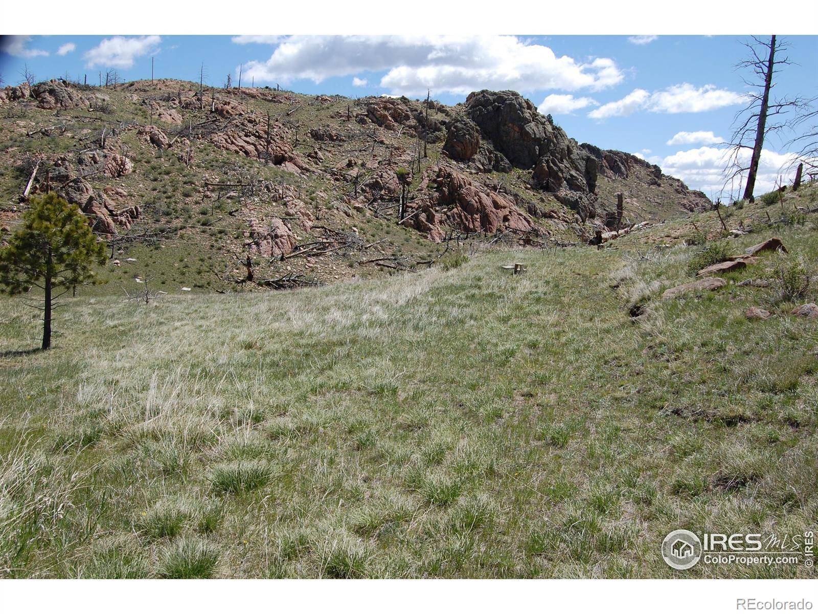 Livermore, CO 80536,37 Black Mountain CT