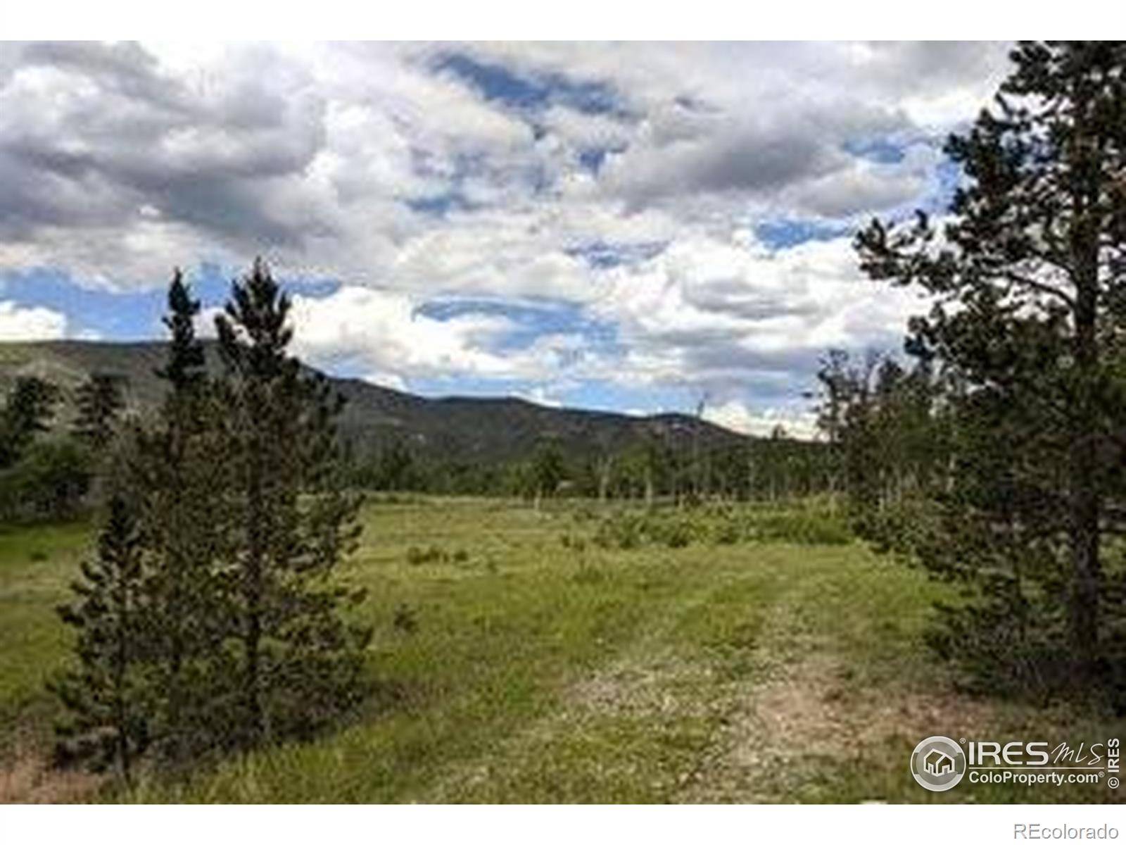 Red Feather Lakes, CO 80545,22 Tami RD