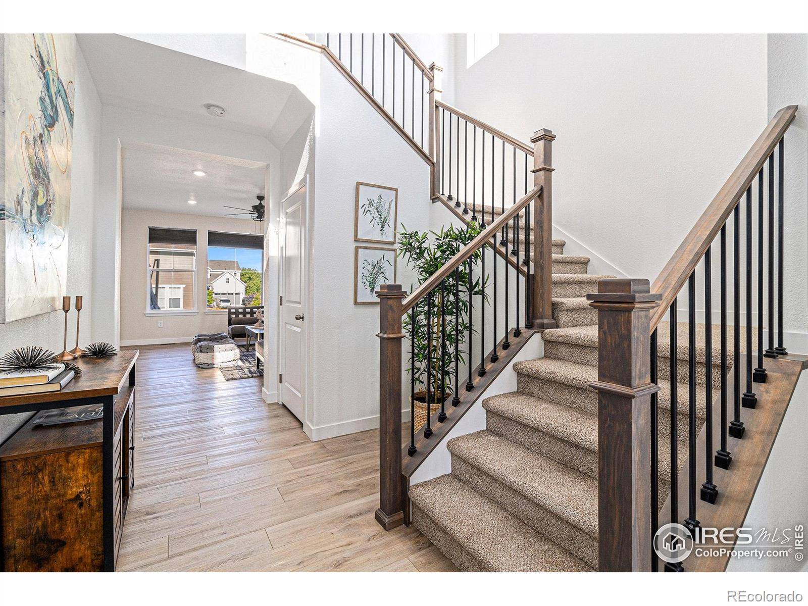 Erie, CO 80516,1953 Morgan DR