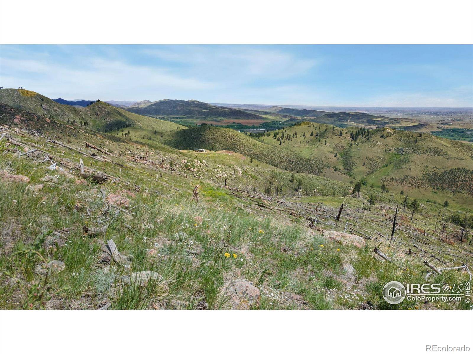 Bellvue, CO 80512,898 Hernia Hill TRL