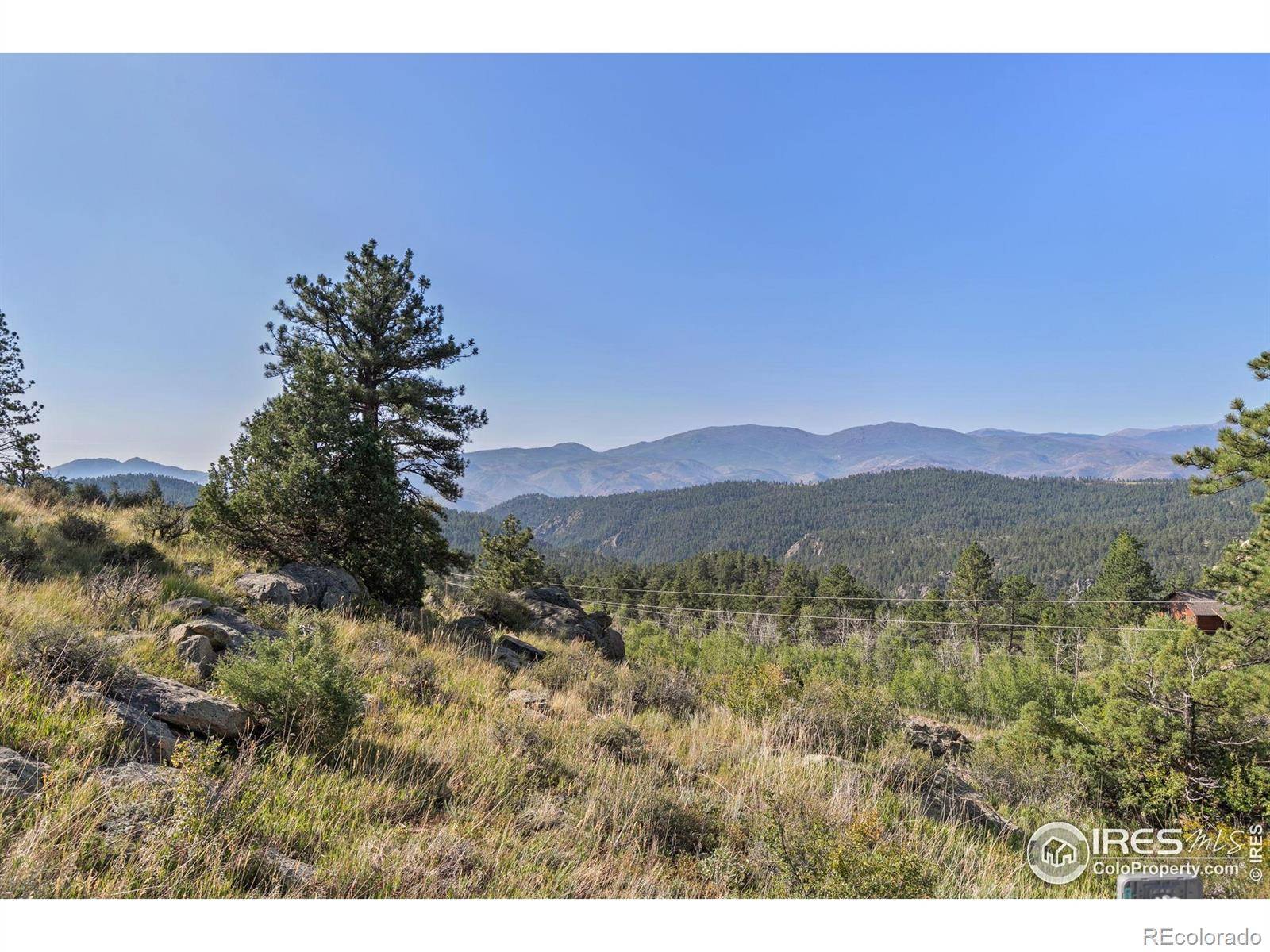 Livermore, CO 80536,274 Iron Mountain DR