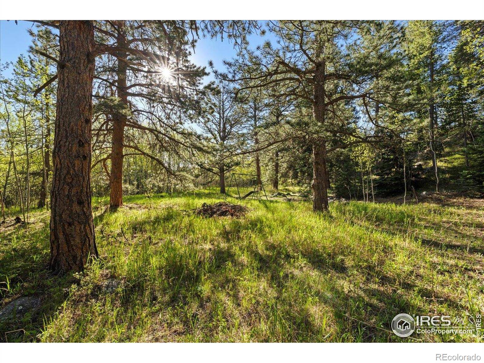 Nederland, CO 80466,105 S Caribou ST