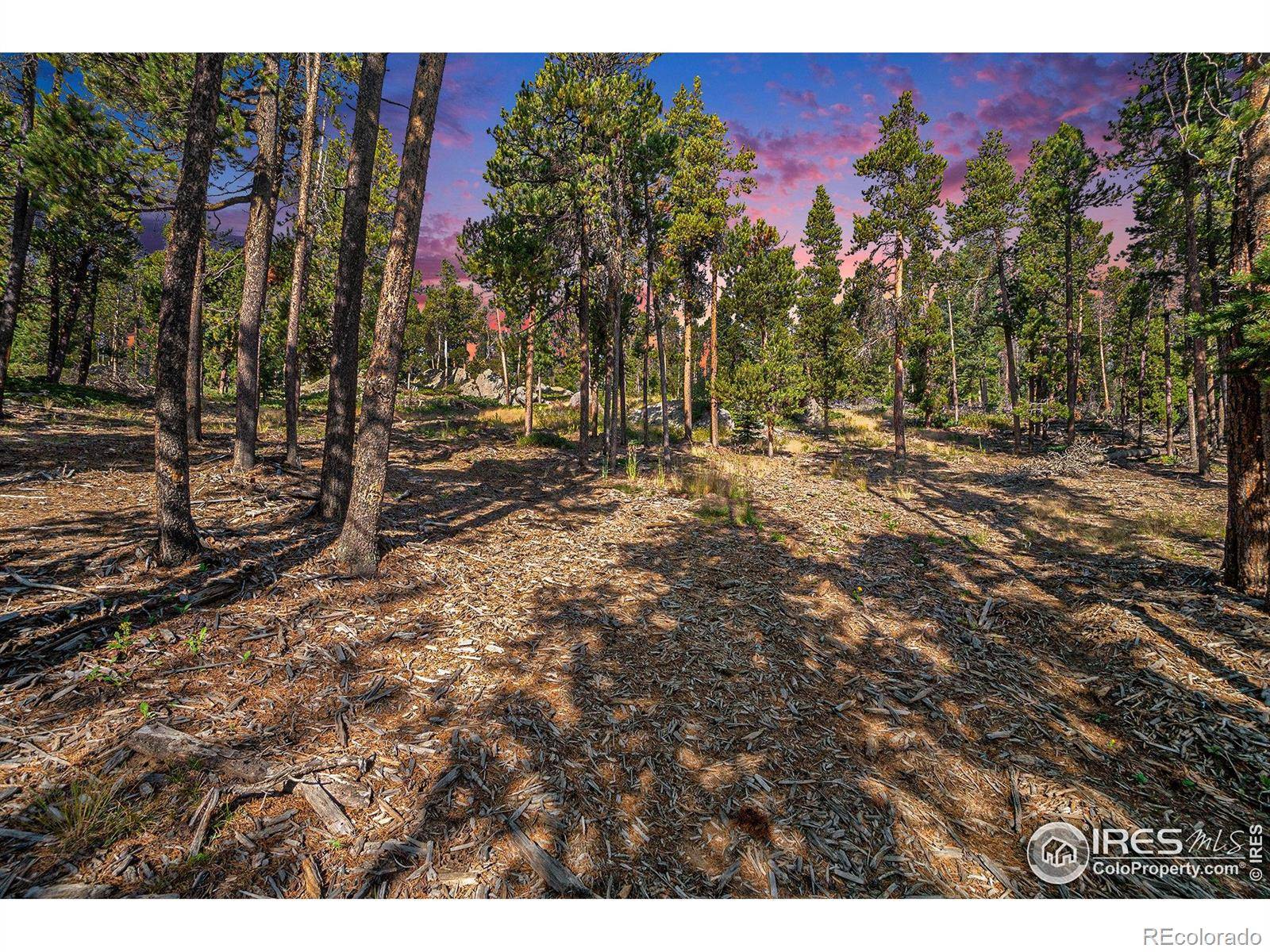 Drake, CO 80515,231 Granite DR
