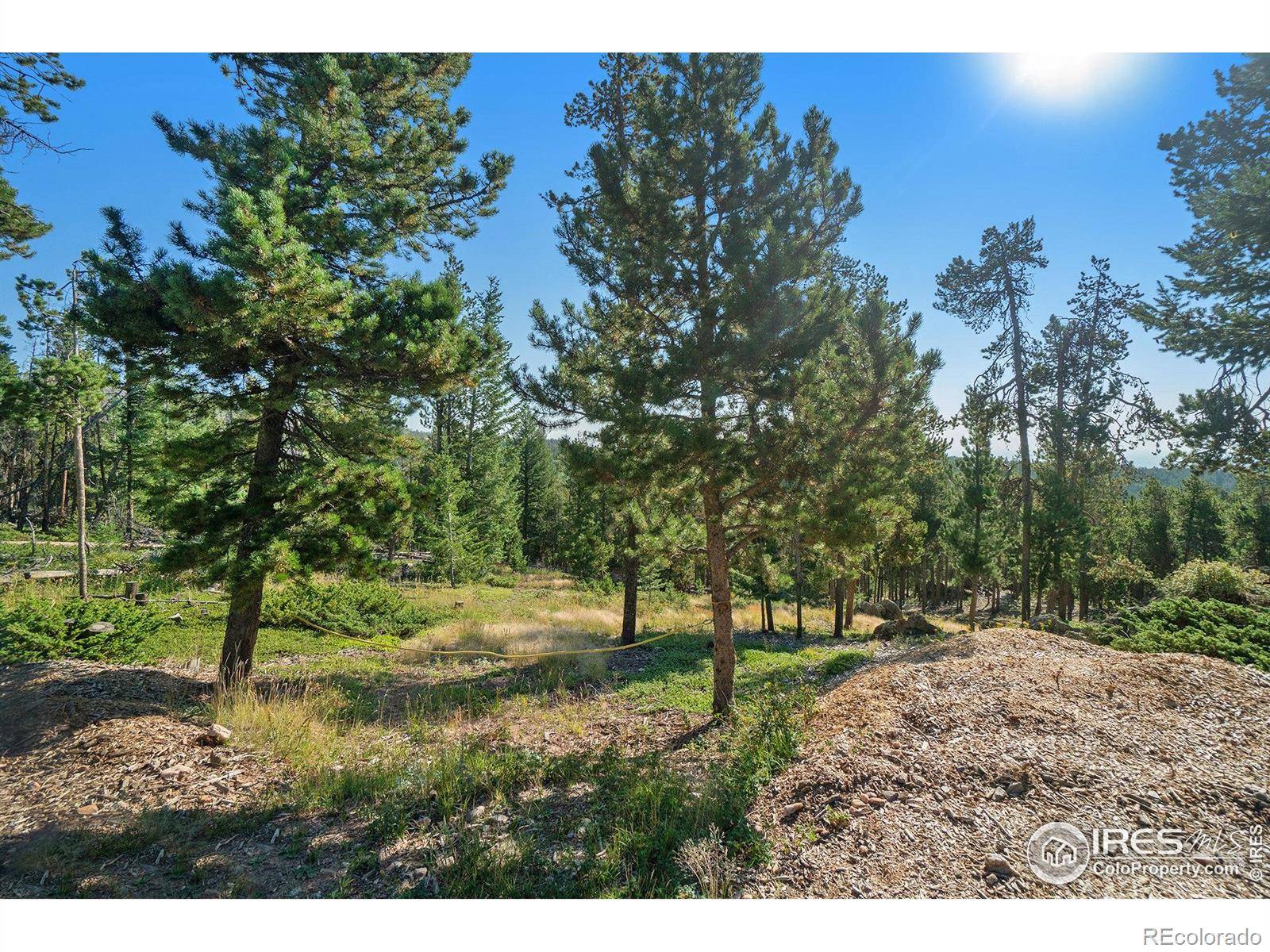 Drake, CO 80515,231 Granite DR