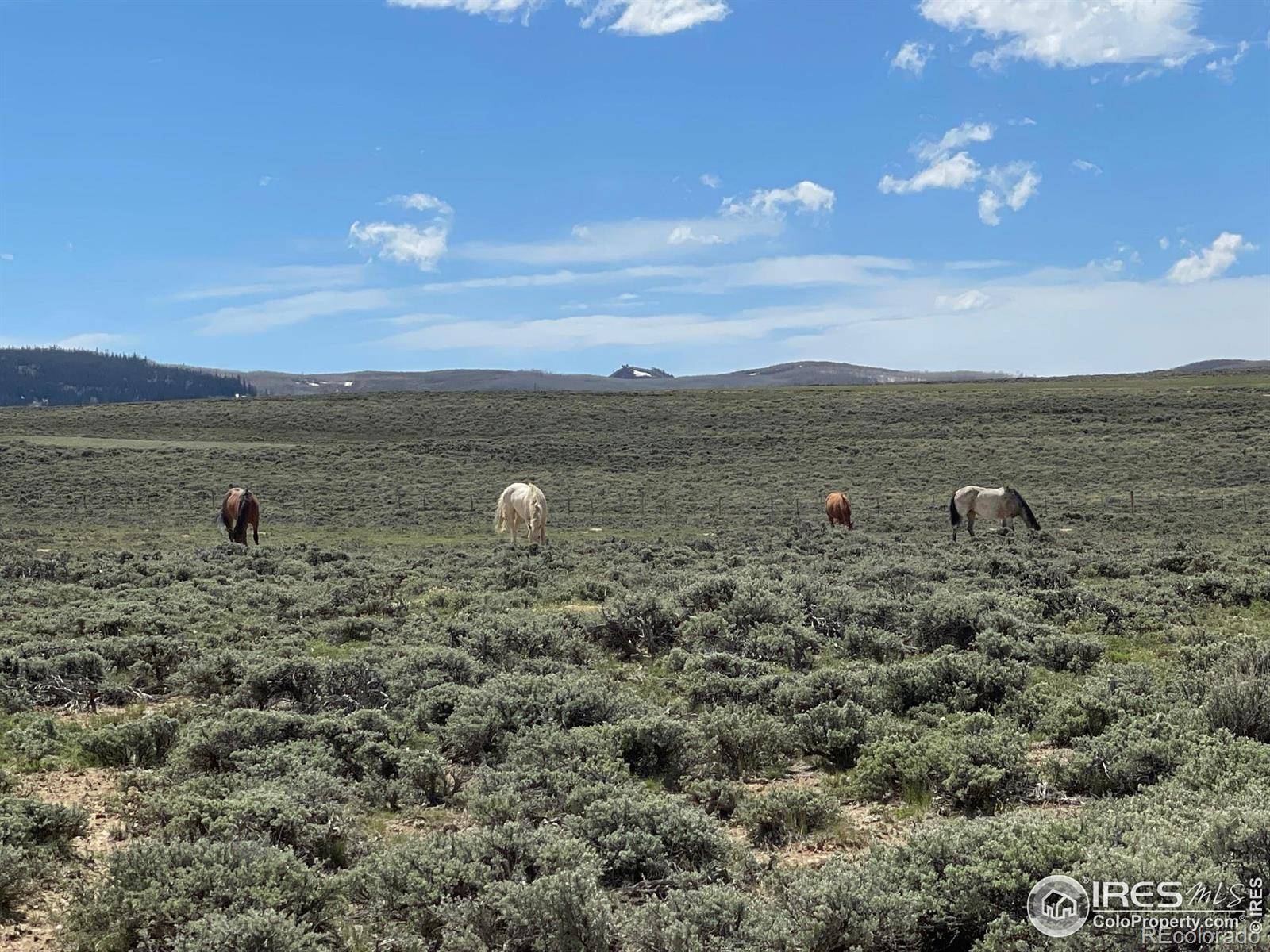 Walden, CO 80480,Jackson County Road 26