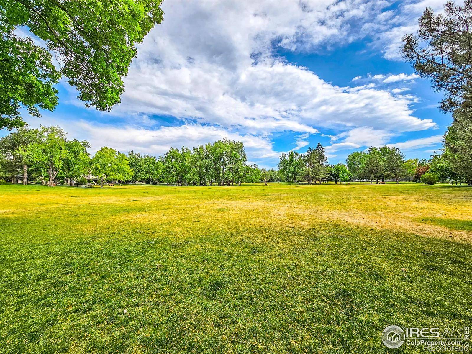 Boulder, CO 80301,4749 White Rock CIR #D
