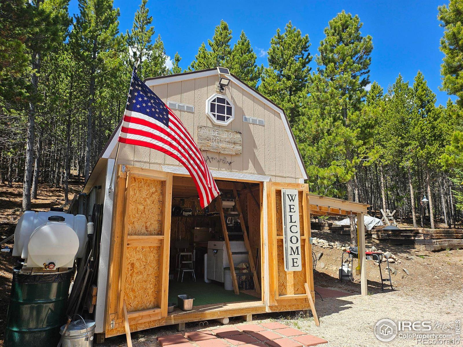 Red Feather Lakes, CO 80545,113 Shoshoni DR