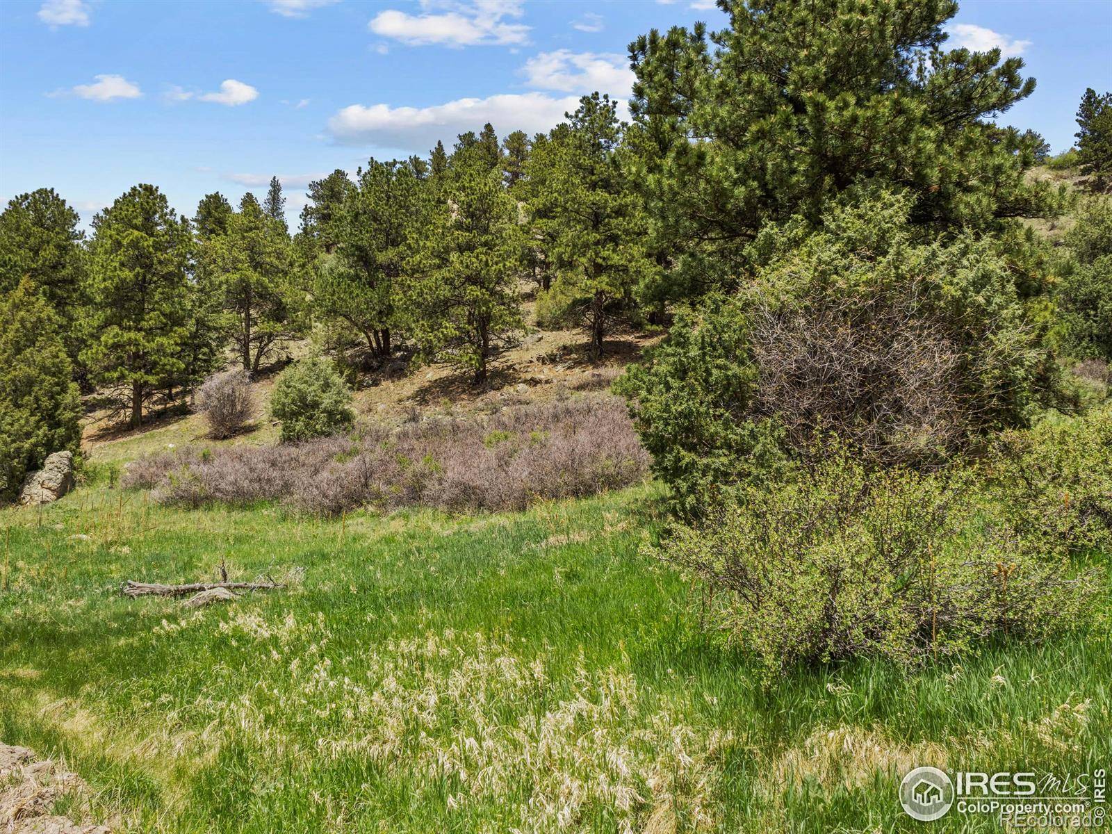 Glen Haven, CO 80532,Dunraven Glade RD