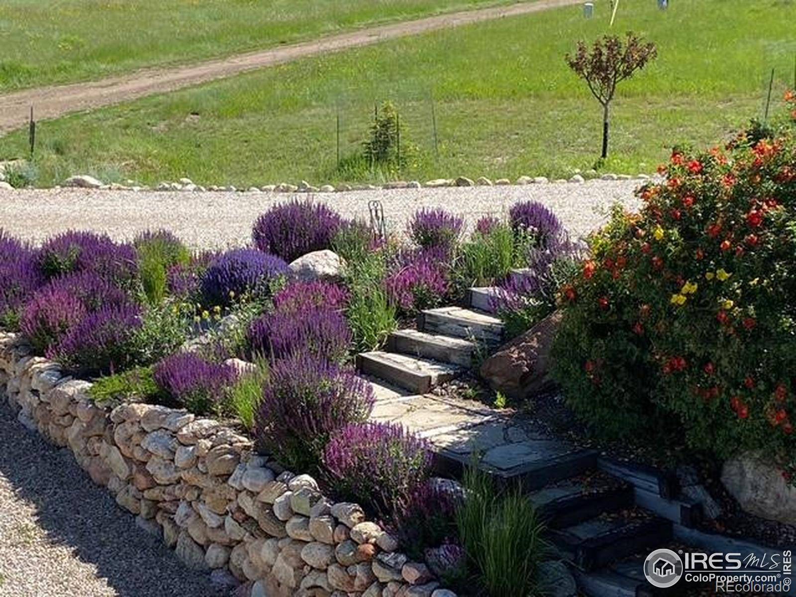 Livermore, CO 80536,80 Little Bald Mountain CT