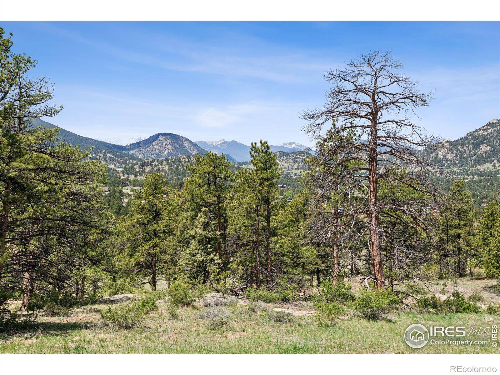 Estes Park, CO 80517,Lot 42 Governors LN