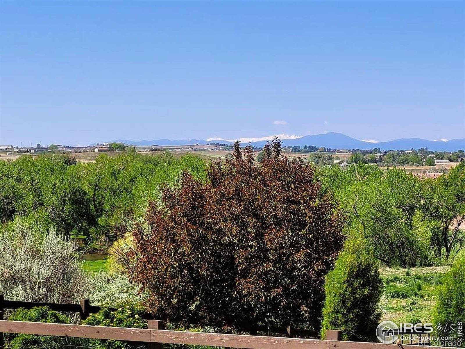 Johnstown, CO 80534,4236 Carroway Seed CT