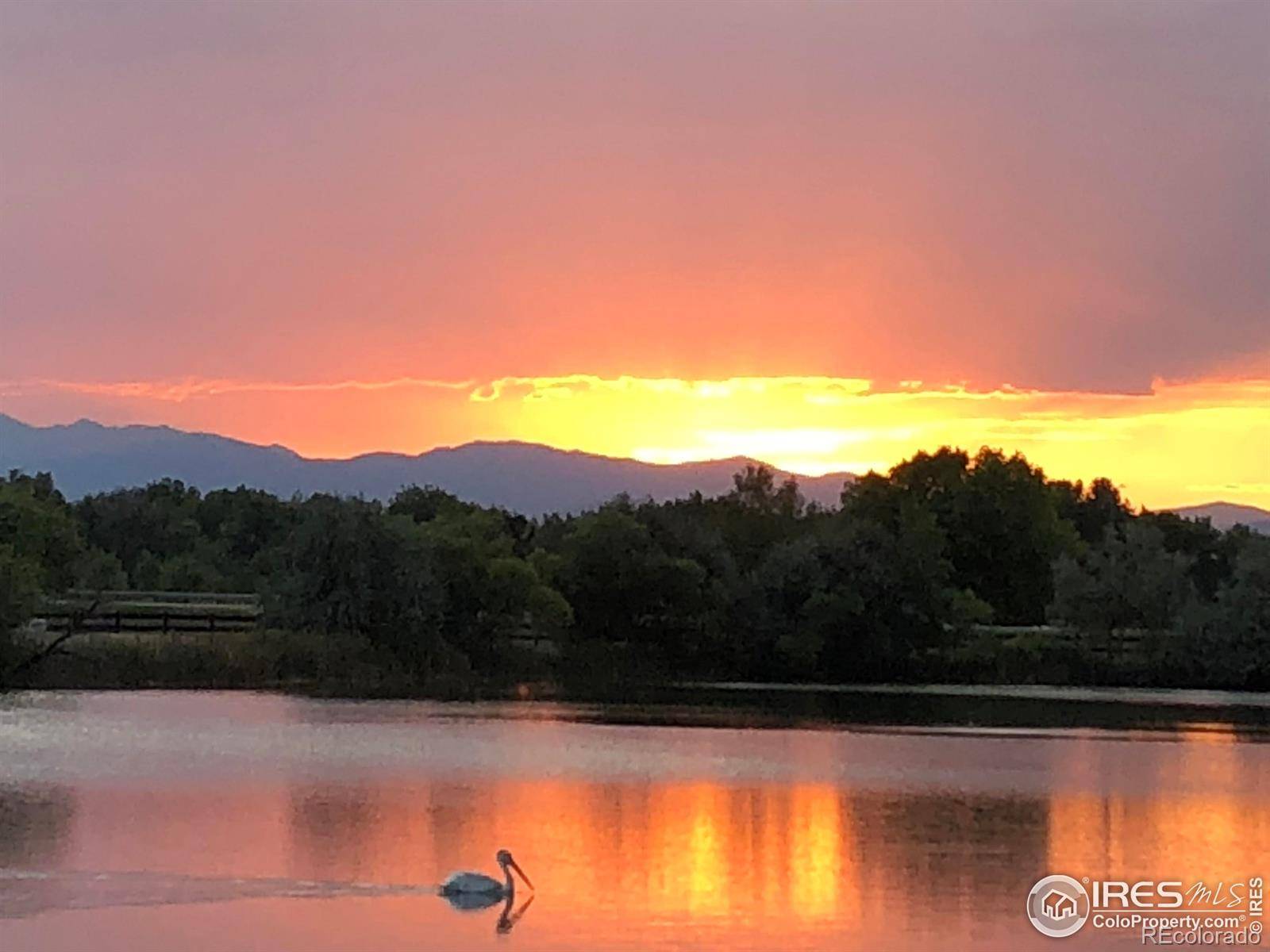 Windsor, CO 80550,116 Cobble CT