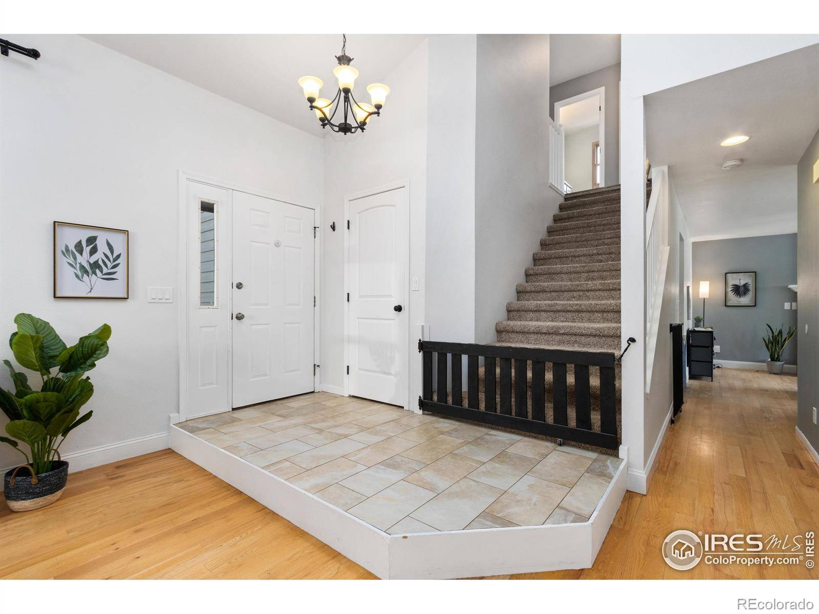 Fort Collins, CO 80526,837 Marble DR
