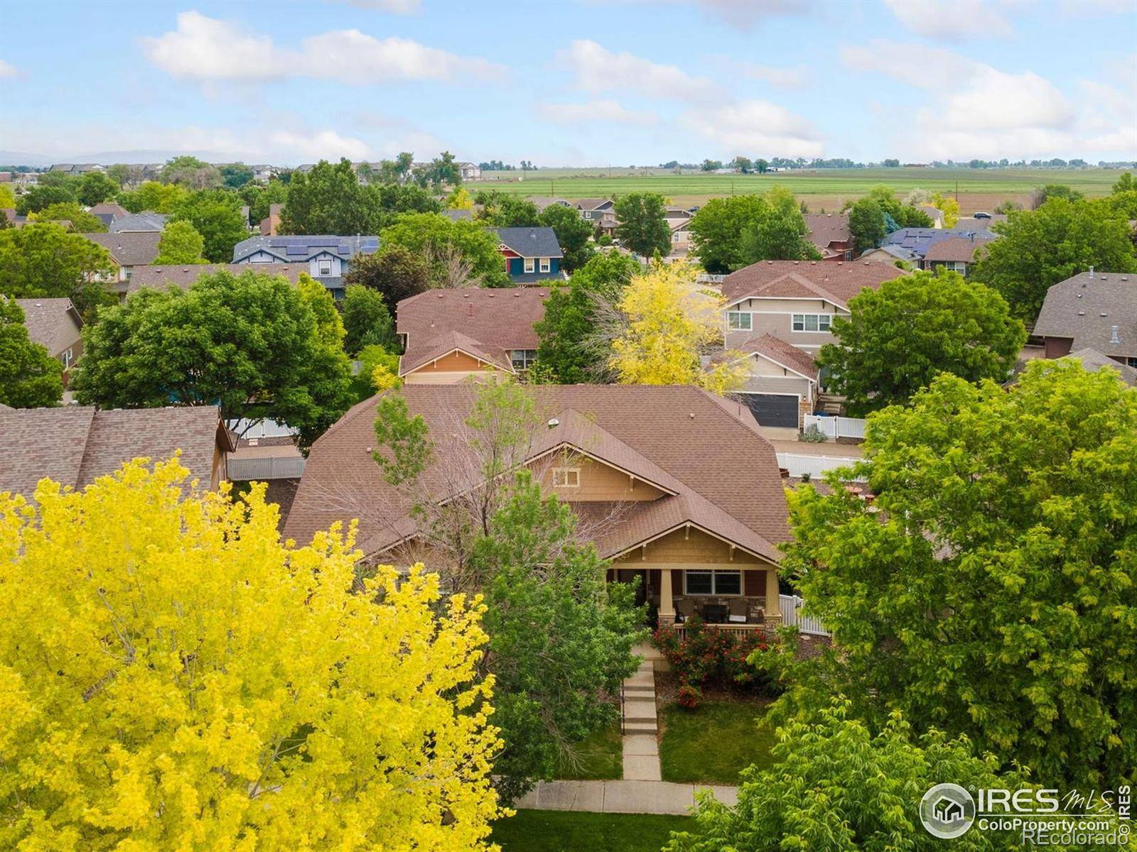 Longmont, CO 80504,336 Olympia AVE