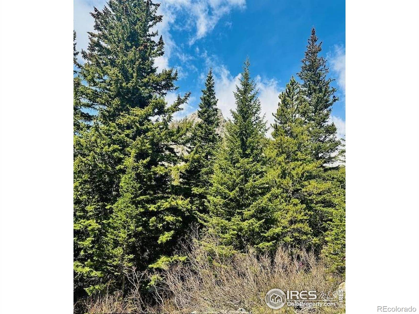 Idaho Springs, CO 80452,0 Mine RD