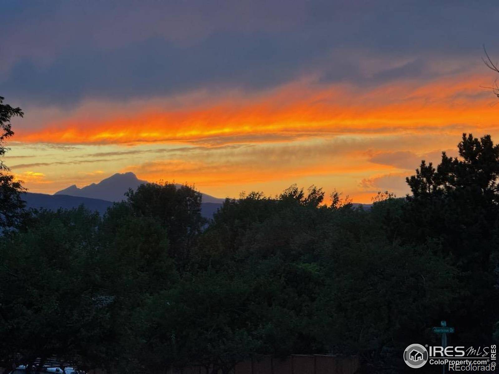 Niwot, CO 80503,8840 Niwot RD