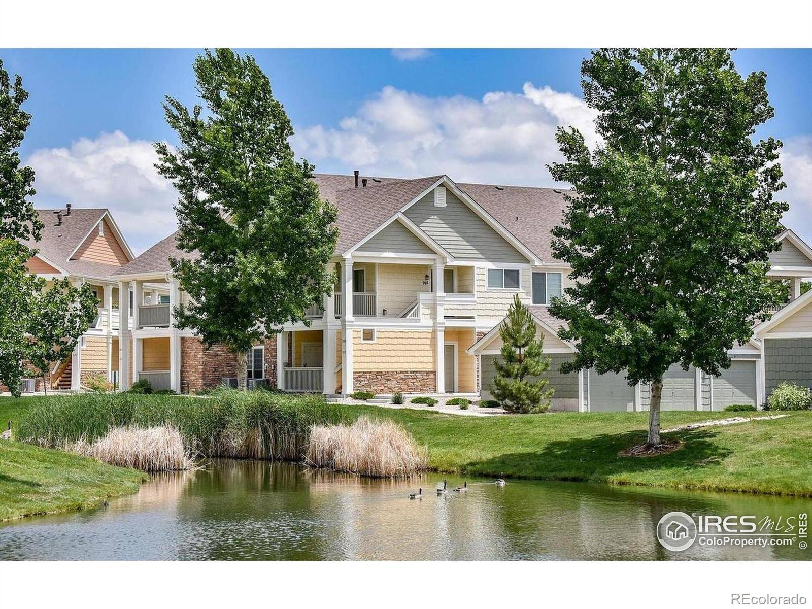 Loveland, CO 80538,4865 Hahns Peak DR #203