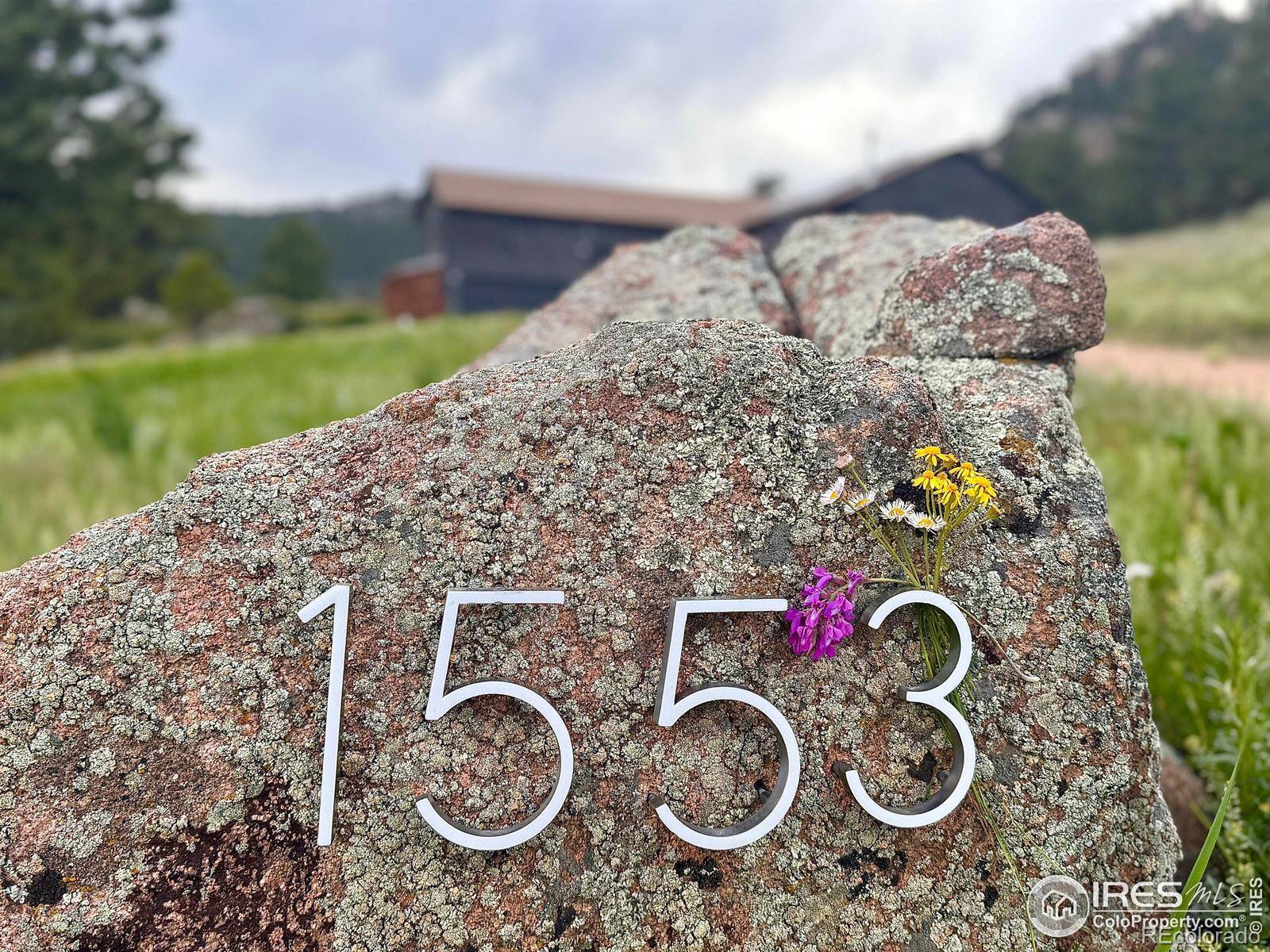 Lyons, CO 80540,1553 Rowell DR