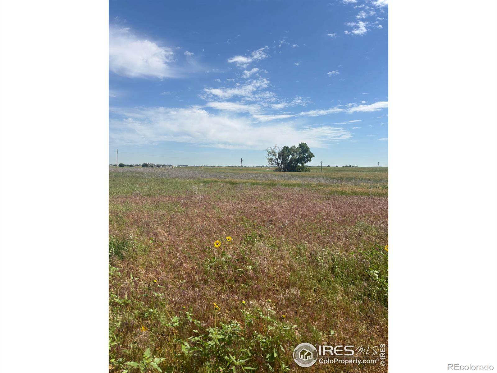 Platteville, CO 80651,2 County Road 28