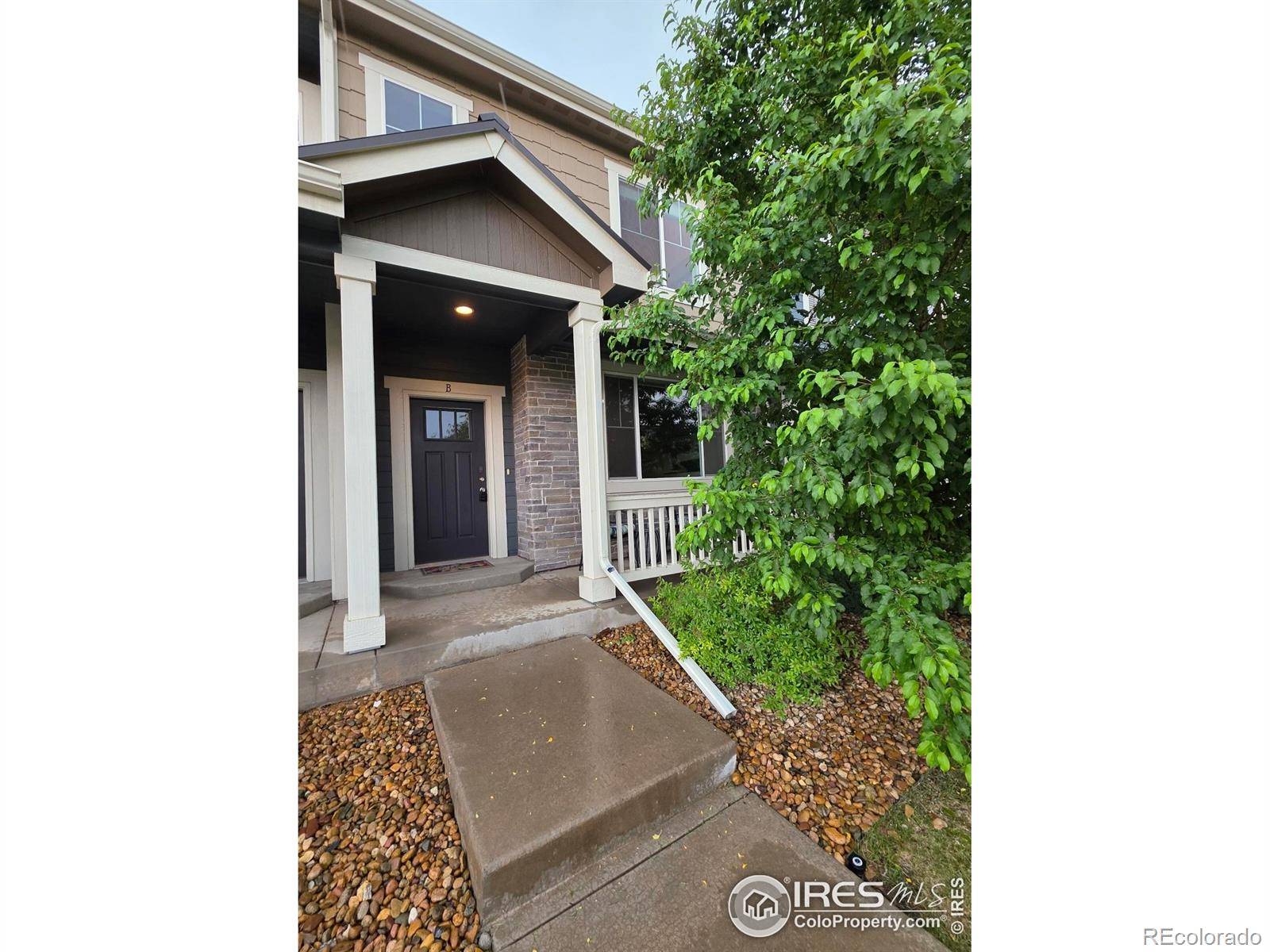 Fort Collins, CO 80526,3514 Big Ben DR #B