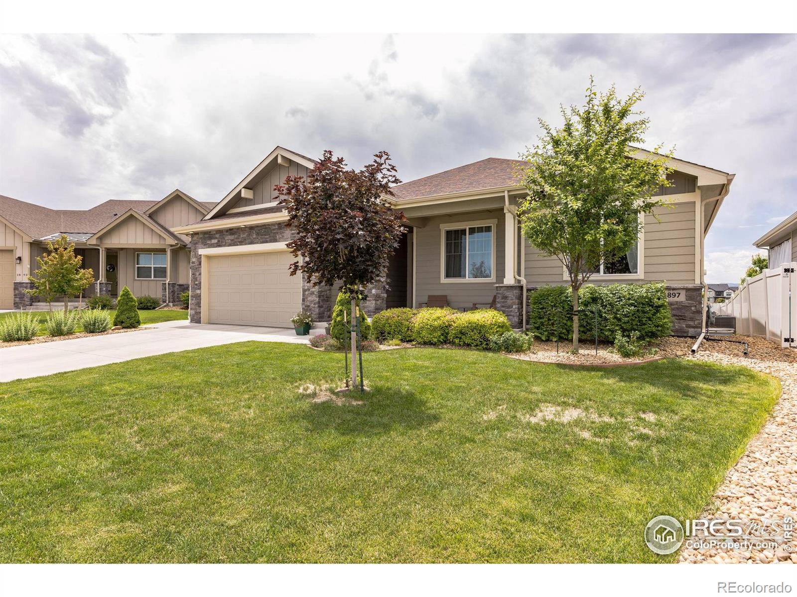 Windsor, CO 80550,1897 Holloway DR