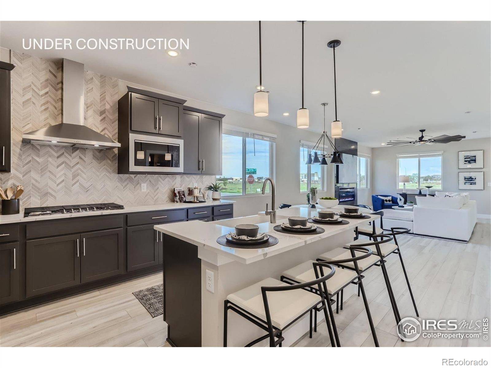 Longmont, CO 80503,2770 Bear Springs CIR