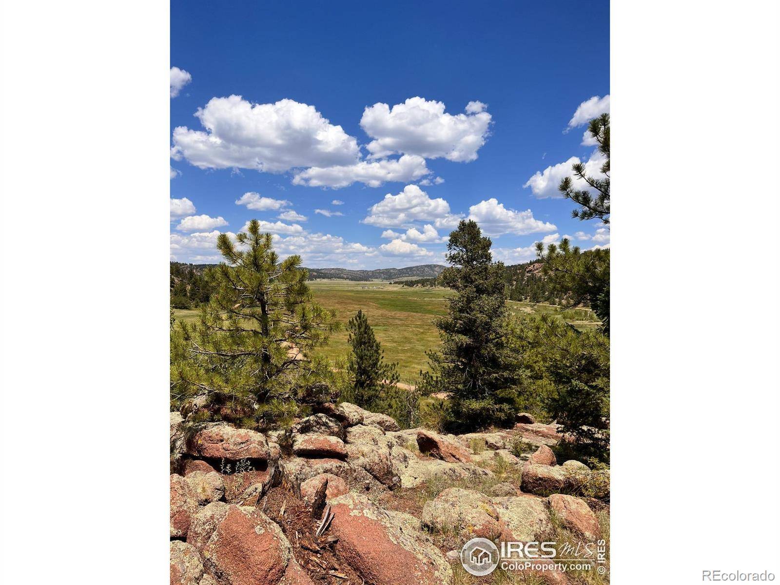 Florissant, CO 80816,313 Elliott DR